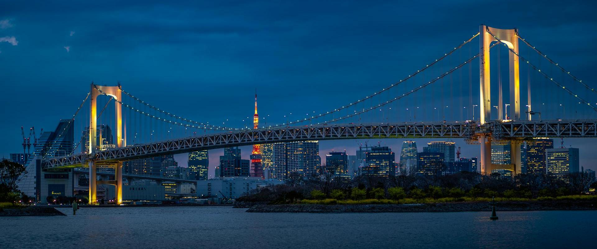 View of Bridge at Night View of Bridge at Night
